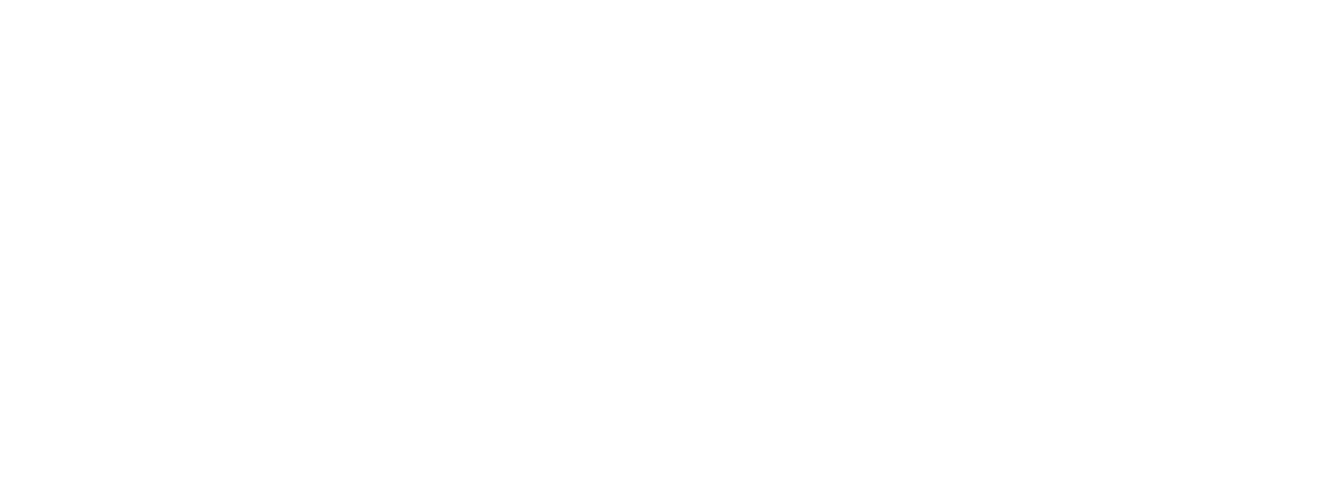 Prominence logo